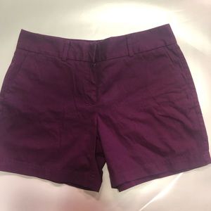 LOFT Rich Purple Women's Shorts